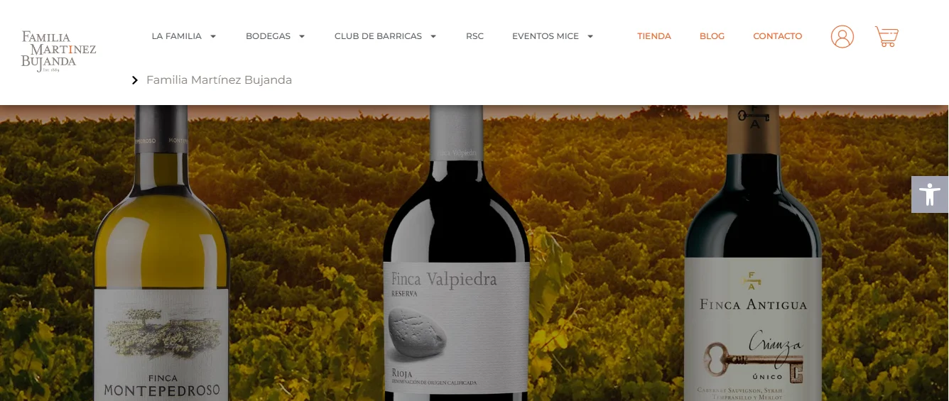 Sitio web de la web Familia Martínez Bujanda